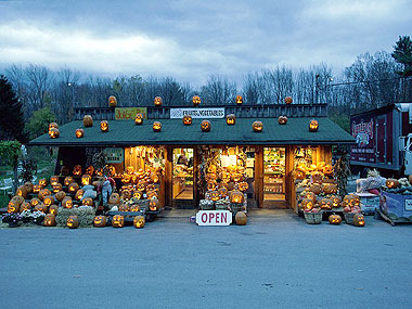 Pumpkin Patch