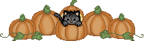 pumpkins animated gif
